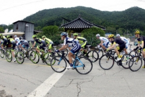 투르 드 코리아 전남 강진… 여름을 달리는 자전거 물결