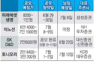 주식시장에 ‘신상 바람’