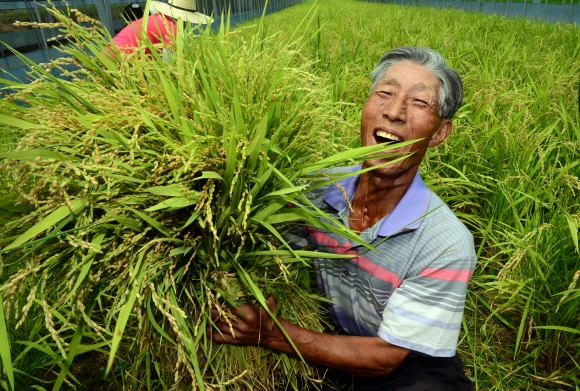 “풍년의 시작 알려요”