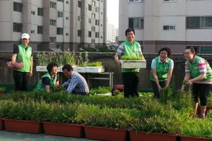 풍납1동 아파트 옥상엔 사랑이 자란다