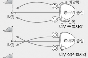 [최병규 전문기자의 골프는 과학이다] ⑬드라이버는 왜 배 불뚝이일까