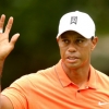 타이거 우즈, 그린브라이어 클래식에서 부활하나 싶더니...3라운드에서