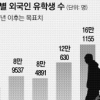 잠깐, 외국인 유학생 20만명 유치 정녕 가능합니까
