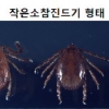 전북서 야생진드기에 물린 70대 사망