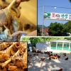 초복, 대구맛집 ‘꽃피는 산장’에서 토종닭백숙으로 원기회복
