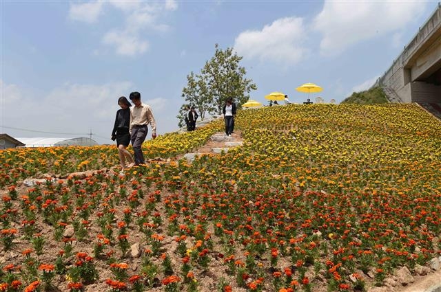 ‘4계절 향기 나는 옐로우시티(Yellow-City) 조성’