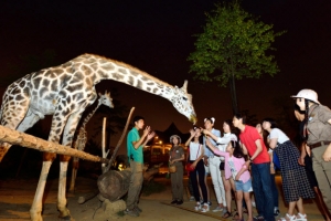“놀이공원에서 열대야 날리자”