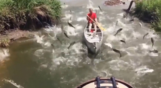 [한줄영상] ‘물 반 고기 반’ 낚싯대가 필요없는 강태공