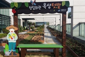 힐링텃밭 나누실 분?