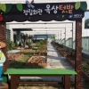 힐링텃밭 나누실 분?