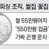 그 쌀집은 왜 꽃집에 495만원을 보냈나
