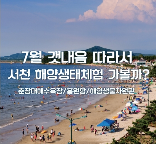 충남 서천군, 생태관광 여행정보 모바일 서비스 ‘서천, 어디갈까?’ 운영/ 서천군 제공