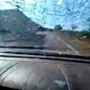 달리는 차량 앞유리에 충돌하는 사슴 포착