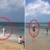 [한줄영상] 상어 케이지 덮어쓰고 바닷물 들어가는 커플