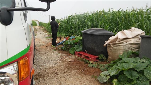 김제시 농업기술원이 옥수수밭에 발생한 멸강충을 방제하고 있다. 김제시 제공