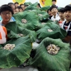 “연잎밥 먹고 건강한 여름”
