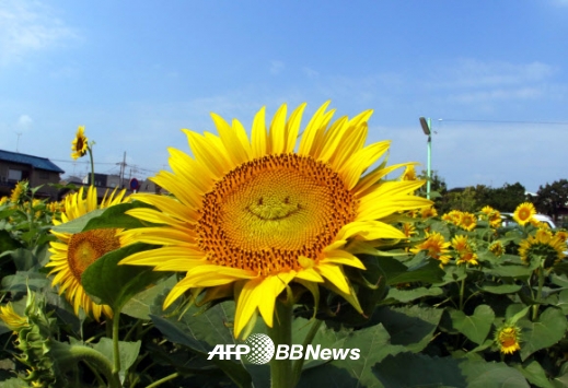 [포토] 우리 모두 웃어 보아요~