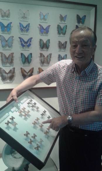지난 14일 서울 관악구 신림동 자택에서 김용식 에코피아 제주 나비박물관 관장이 채집한 나비 표본에 대해 설명하고 있다.