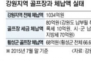 지방세 체납 80억… 강원 골프장 ‘빨간불’