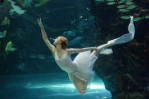 한번 보면 잊을 수 없는 수중 공연