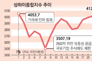 中 증시 급등락 지금이 바닥인가 아직도 거품인가