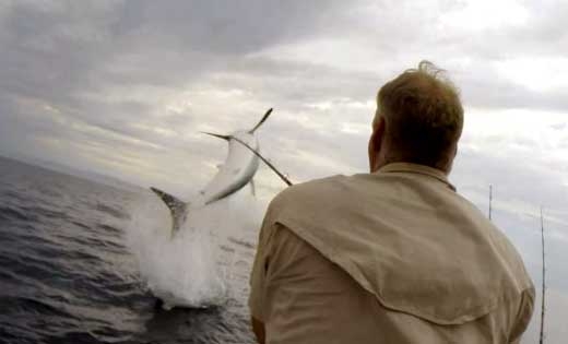 [한줄 영상] ‘탄성 절로’ 나는 강태공의 짜릿한 손맛