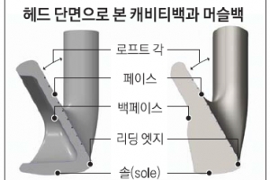 [최병규 전문기자의 골프는 과학이다] (18)아이언