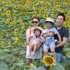 해바라기 활짝… 온가족 웃음꽃 방긋