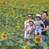 “가족의 얼굴이 해바라기처럼 활짝....”