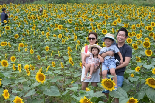 “가족의 얼굴이 해바라기처럼 활짝....”