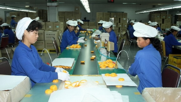 개성공단 재가동 첫날인 2013년 9월 16일 개성공단 내 태성하타 공장에서 북한 근로자들이 작업하고 있다. 사진:통일부 제공  