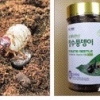 “곤충식품 시장은 미래 농촌의 먹거리”