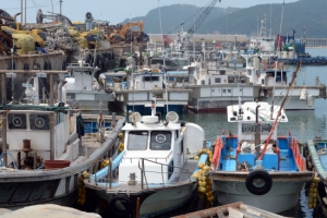 통신장애 문제 해결 위해 백령도까지 해저테이블 설치 추진