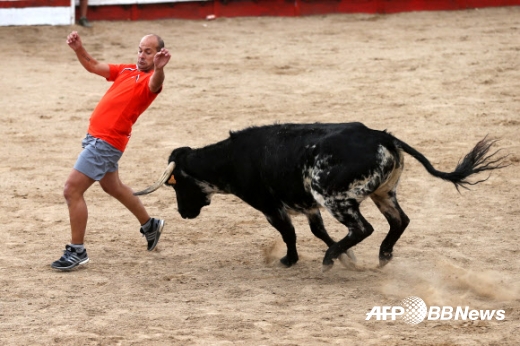 “앗! 안돼...그 뿔로 받으면....”