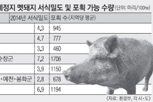 “멧돼지 서식밀도 낮다고?” 경북 뿔났다