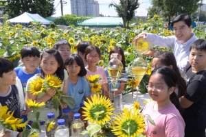 “해바라기 씨앗으로 자동차 연료 만들어요”