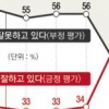 8·25 남북 합의 효과… 박대통령 지지율 15%P 급등