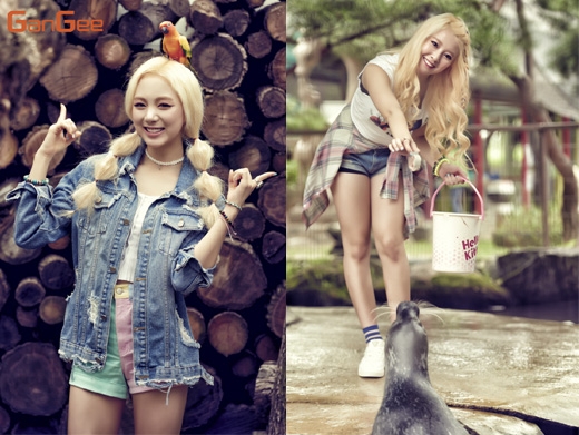 마이비 주경, 희주