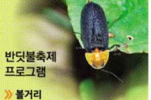 [우리동네 흥겨운 축제] 뽕나무 불꽃에 취해보고 볏짚 섶다리 밟아보세