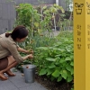 [커버스토리] 옥상서 텃밭 가꾸고 넥타이 대신 반바지…창의성 커지는 사옥