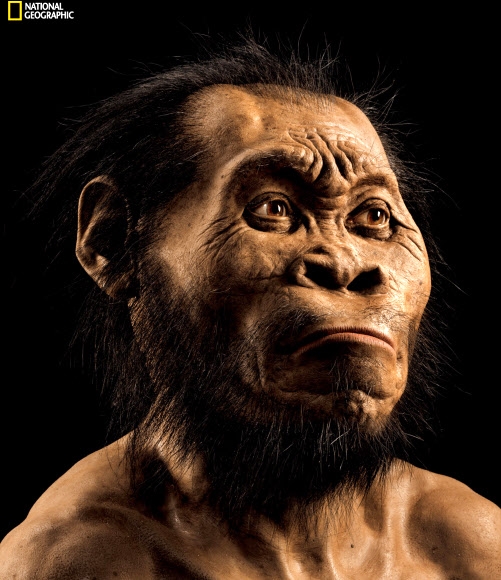 300만년前 인류 화석 ‘호모 나레디’