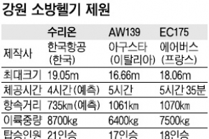 “안전 요건 충족해야” vs “외국산 도입 의도”