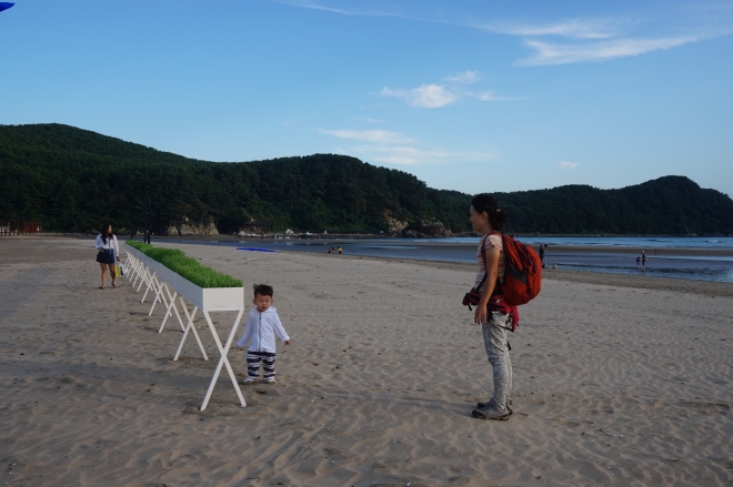 2015 바다미술제가 열리고 있는 부산 다대포의 바다와 해변에 설치된 헝가리 작가 조셉 타스나니의 작품 ‘기억의 지속’과 전원길 작가의 ‘녹색 수평선’.