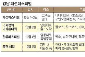 강남의 가을날, 축제로 물든다
