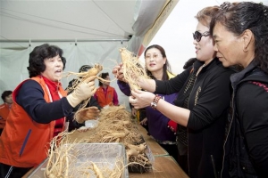 [우리동네 흥겨운 축제] 새달 17~18일 임진각 파주개성인삼축제