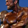 Bodybuilders...the Arnold Classic Europe competition