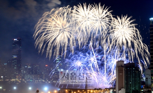 [2015 서울 세계불꽃축제] 서울 밤하늘을 장식하다