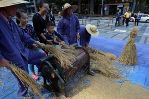 ‘전통 탈곡기’ 체험하는 외국인들