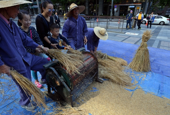 ‘전통 탈곡기’ 체험하는 외국인들