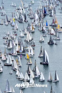 ‘교통정리가 필요해’…여유만만 뱃놀이는 잊고